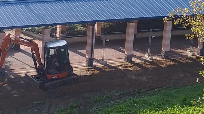 Alba, in viale Masera c'è l'accordo con il Comune per sistemare i giardini