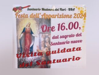 Visite guidate al Santuario della Madonna dei Fiori di Bra