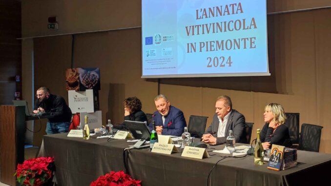 L’annata vitivinicola tra alti e bassi: cresce del 5% la produzione in Piemonte