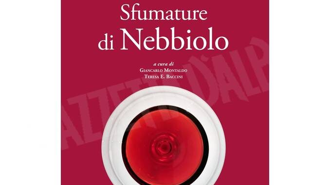 Copertina Sfumature di Nebbiolo All'enoteca di Barbaresco le sfumature di Nebbiolo di Montaldo e Baccini