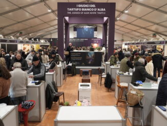 Il tartufo che non c'è: pochissimi i bianchi e i prezzi partono da 650 euro all'etto nel Mercato