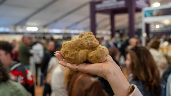 Tartufo / Si chiude la Fiera di Alba, 90mila ingressi al mercato mondiale