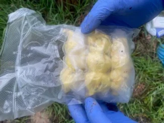 Spaccio di droga, sgominata banda attiva nel braidese 1