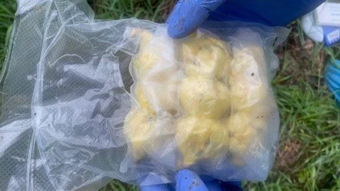Spaccio di droga, sgominata banda attiva nel braidese 1