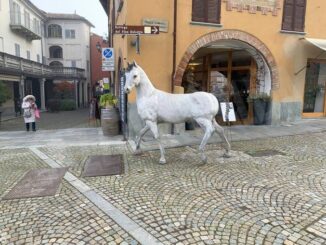 Le opere di Franco Sebastiano Alessandria nelle vie del centro di Dogliani
