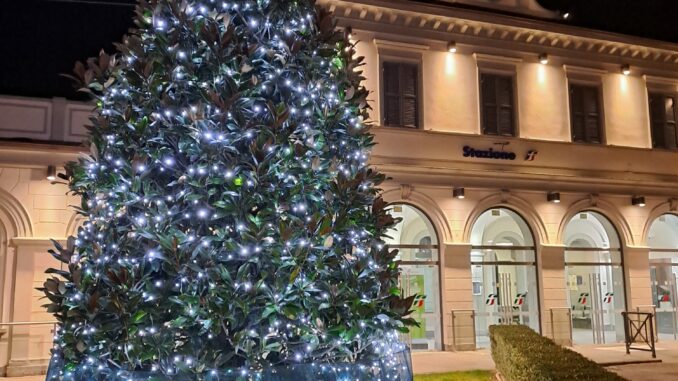 La magia del Natale: si accende la magnolia di piazza Roma A Bra