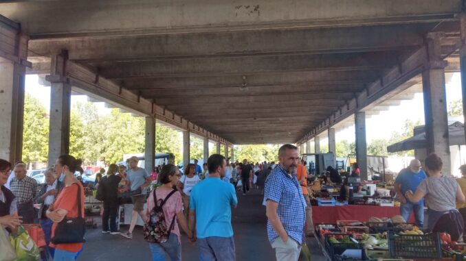 mercato piazza prunotto 2 Ad Alba arrivano due mercati straordinari di domenica