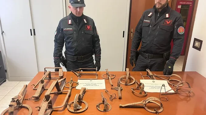 I Carabinieri forestali astigiani fermano due persone che vendevano online le tagliole