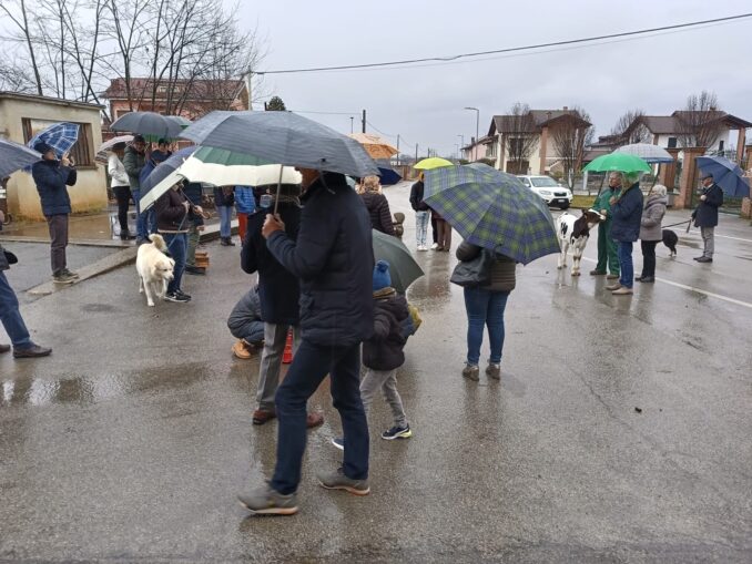 La benedizione degli animali al Santuario e nelle frazioni di campagna 9