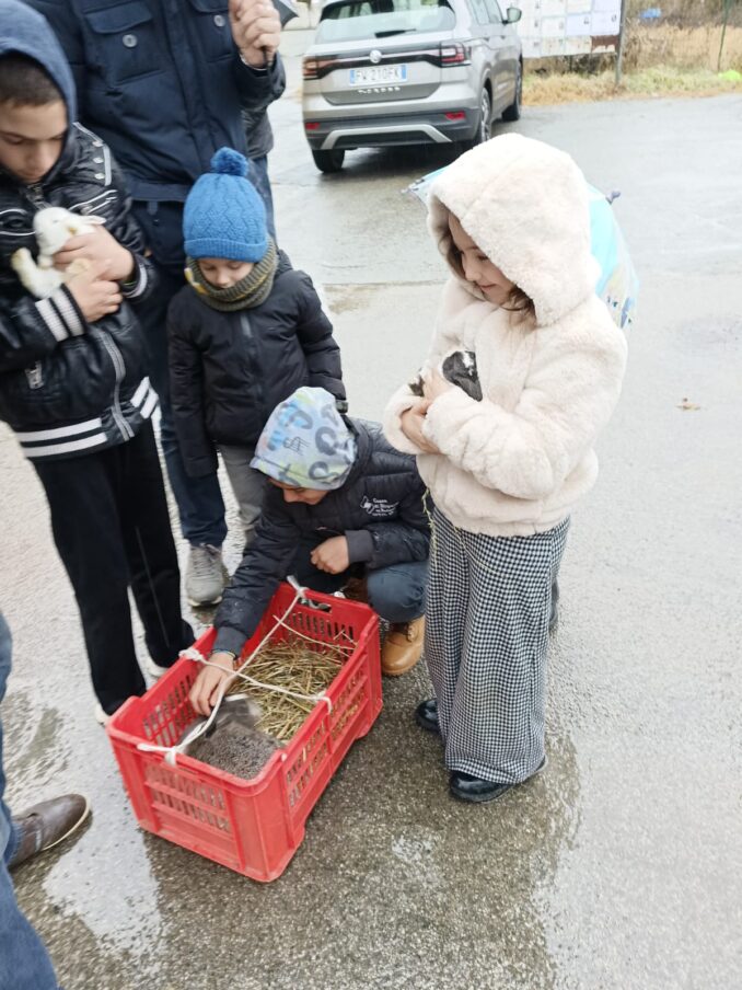 La benedizione degli animali al Santuario e nelle frazioni di campagna 10