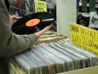 Ernyaldisko presenta la prima fiera del disco, cd e vinile, di Alba per la gioia dei collezionisti 1