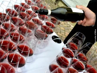 Barolo e Barbaresco: per i grandi rossi c'è il debutto di annate di valore