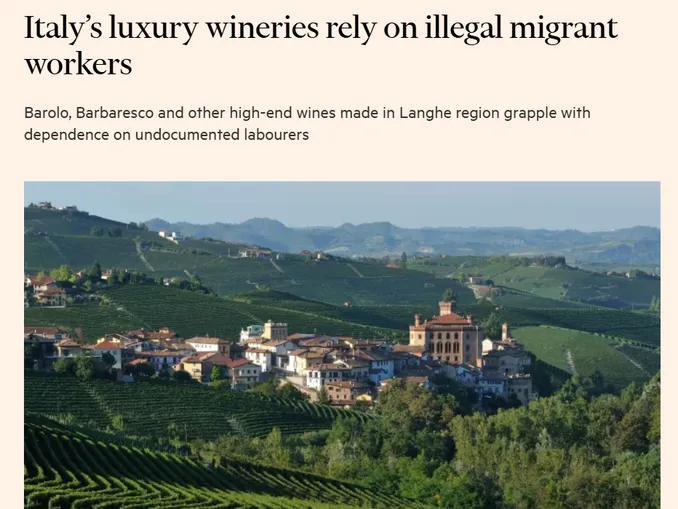 Il caporalato in vigna arriva sulle pagine del Financial times