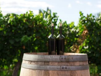 Da Lollobrigida luce verde ai vini dealcolati, mercato che in Usa vale già un miliardo