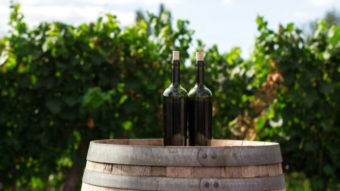 Da Lollobrigida luce verde ai vini dealcolati, mercato che in Usa vale già un miliardo