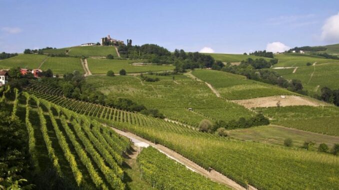 Quale futuro per i Paesaggi vitivinicoli di Langhe-Roero e Monferrato 1