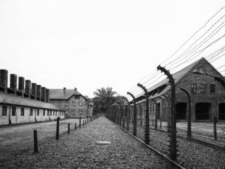 Giorno della memoria / Per non dimenticare: oggi l'ottantesimo anniversario della liberazione di Auschwitz. Oggi sono poco più di dieci i sopravvissuti della Shoah