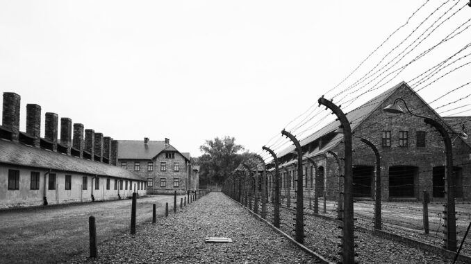 Giorno della memoria / Per non dimenticare: oggi l'ottantesimo anniversario della liberazione di Auschwitz. Oggi sono poco più di dieci i sopravvissuti della Shoah