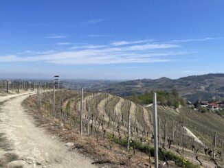 Trekking sentiero del Belvedere: 19 km tra le colline della Valle Belbo con pranzo tipico in agriturismo
