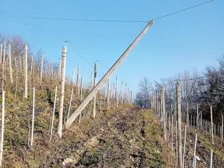 Lettera al giornale / Da luglio attendo Tim perché sistemi un palo pericolante tra le vigne
