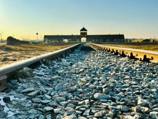 Gli studenti di Ceresole d'Alba hanno visitato Cracovia e Auschwitz con il Treno della memoria 1