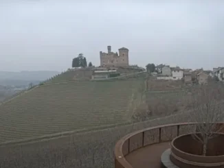Bollettino meteo: nebbie, cielo grigio e freddo