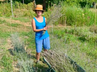 Le2impronte, quattro incontri in cui scoprire il mondo delle erbe aromatiche