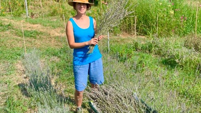 Le2impronte, quattro incontri in cui scoprire il mondo delle erbe aromatiche