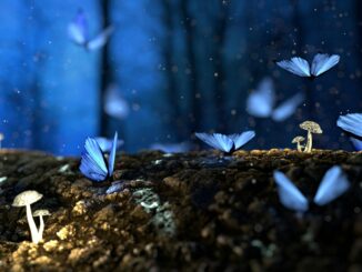 A Guarene il festival della biblioteca è dedicato al fantasy