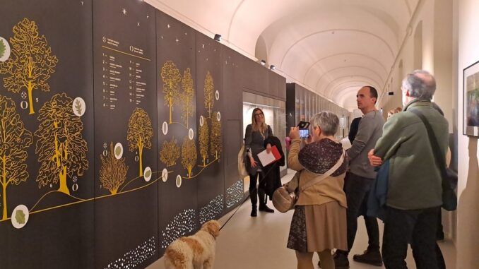 Visite esperienziali al Mudet – Museo del Tartufo di AlbA