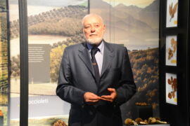 Al museo Eusebio sono state rinnovate le sale di botanica e di mineralogia (FOTO) 3
