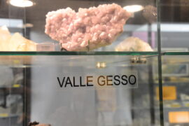 Al museo Eusebio sono state rinnovate le sale di botanica e di mineralogia (FOTO) 6