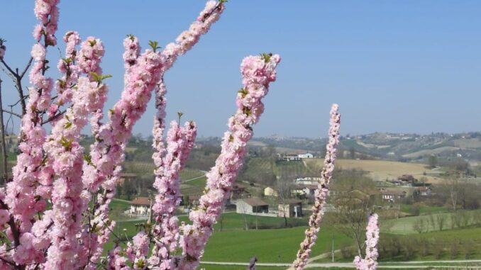 Il sentiero romantico dei frutteti in fiore