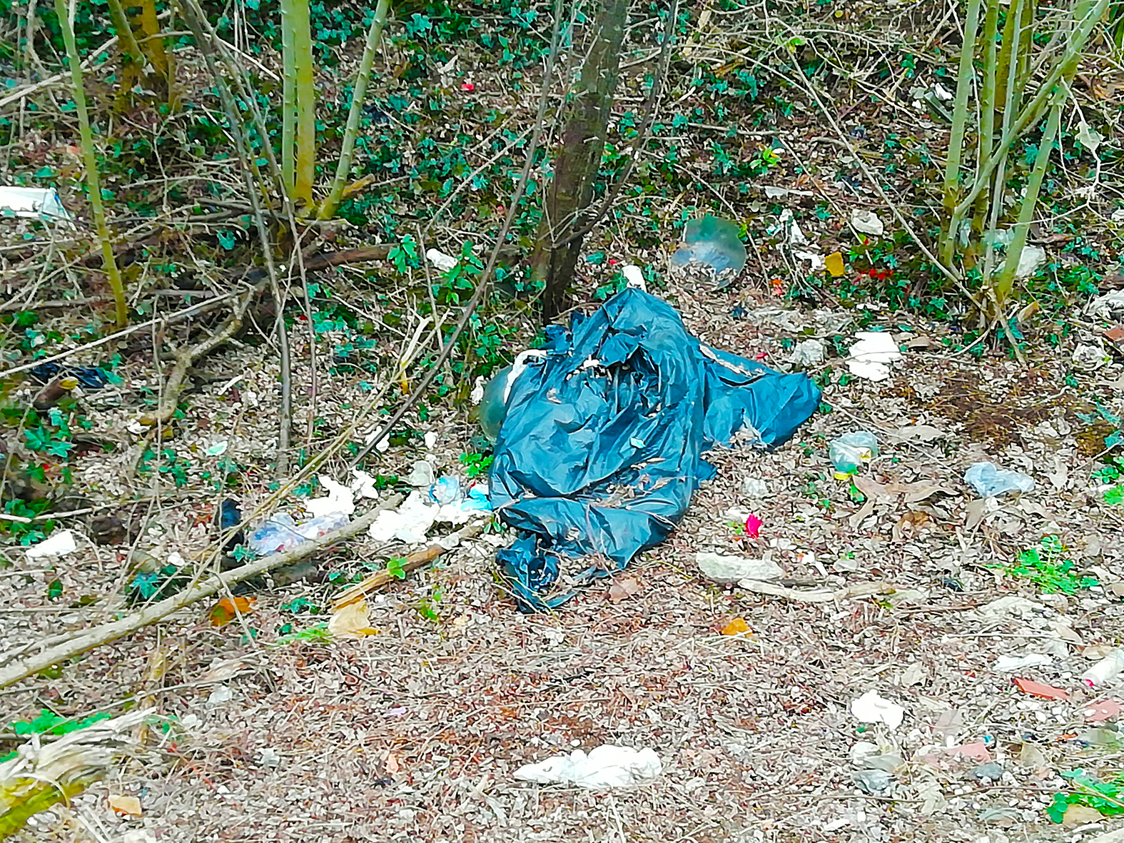 Il centro raccolta rifiuti si espande vicino al cimitero di Alba! 1