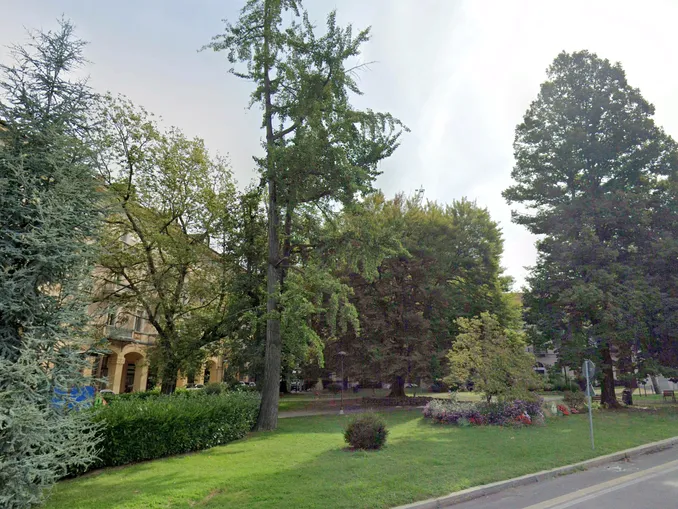 Il Piemonte celebra il patrimonio verde e nomina 63 nuovi alberi monumentali