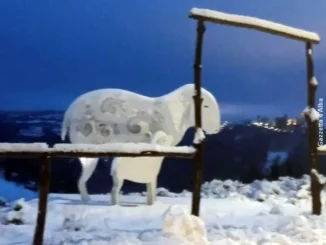 Previsioni del tempo / Dopo la neve in montagna e collina, settimana perturbata e molto variabile