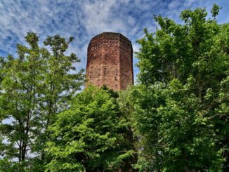 Magico Roero: dalla torre di Corneliano d’Alba al bosco dei Cristalli 2