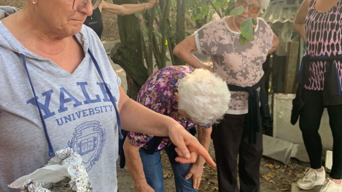fiorella 6 Tutte per l'8 marzo / Fiorella e la sua Da Bad: un'oasi verde dove ritrovarsi per stare tutti insieme 3