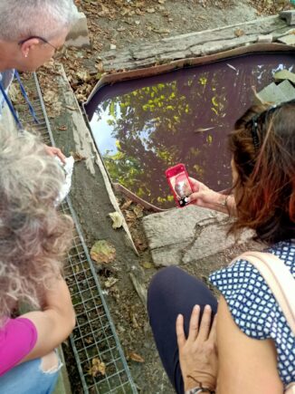 Tutte per l'8 marzo / Fiorella e la sua Da Bad: un'oasi verde dove ritrovarsi per stare tutti insieme 4