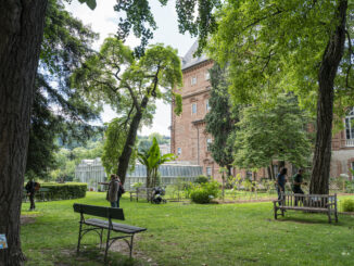 Torino si colora di verde: torna il Festival che racconta la natura in città