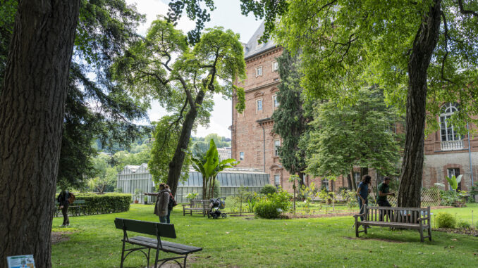 Torino si colora di verde: torna il Festival che racconta la natura in città