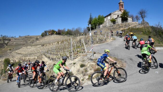 La Pedalanghe è tra boschi, vigne e noccioleti 2