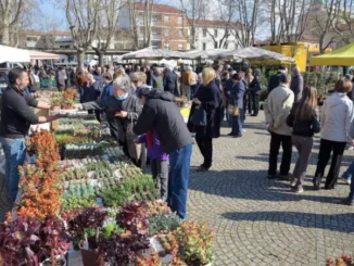 Bra / Fiera di Pasquetta con bovini, contadini e artigiani in piazza Giolitti