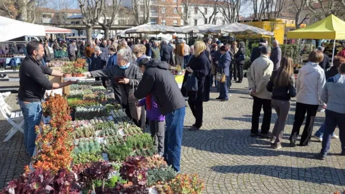 Bra / Fiera di Pasquetta con bovini, contadini e artigiani in piazza Giolitti