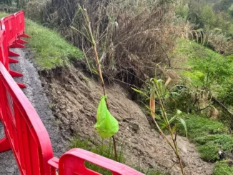 +++ Maxi pioggia: la conta dei danni in Alta Langa e Belbo (IN AGGIORNAMENTO) +++ 7