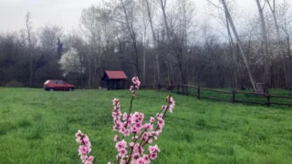 A Narzole il bosco di Geminella, un progetto per la comunità