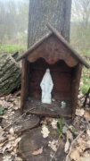 A Narzole il bosco di Geminella, un progetto per la comunità 1