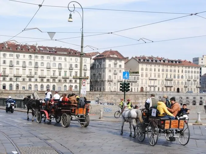 Il paradriving arriva a Bra. Carrozze e cavalli attesi alle 17.30 in piazza Giolitti 2