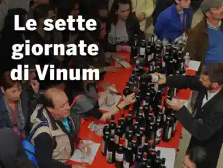 Vinum 2025, inserto speciale sfogliabile