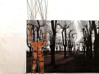 L'uomo-albero di Bruno Meloni nel parco di Cisterna